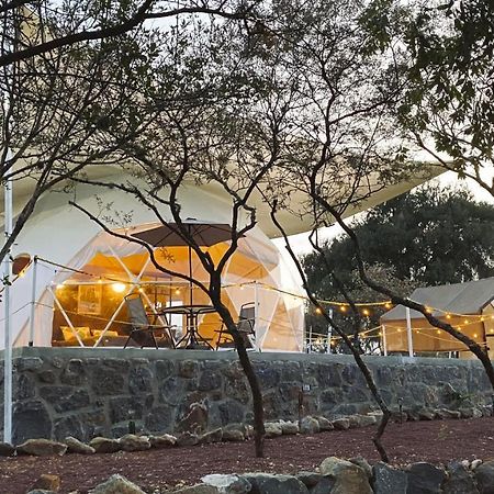 Hotel El Gato Glamping con vista a prismas basálticos Huasca de Ocampo Exterior foto