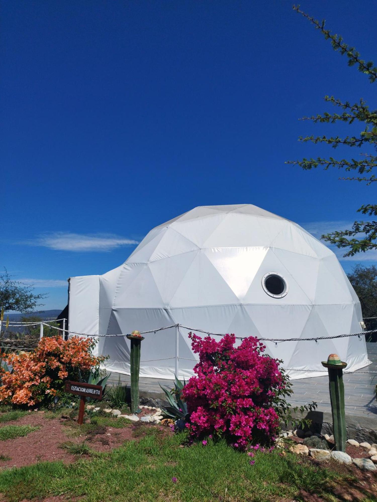 Hotel El Gato Glamping con vista a prismas basálticos Huasca de Ocampo Exterior foto