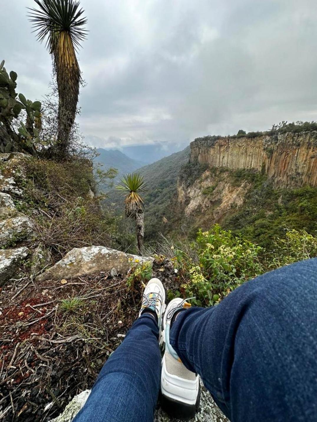 Hotel El Gato Glamping con vista a prismas basálticos Huasca de Ocampo Exterior foto