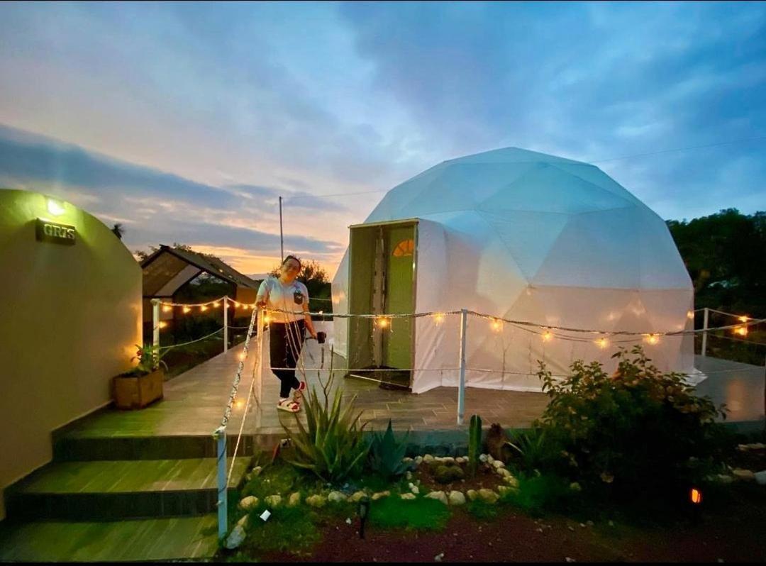Hotel El Gato Glamping con vista a prismas basálticos Huasca de Ocampo Exterior foto