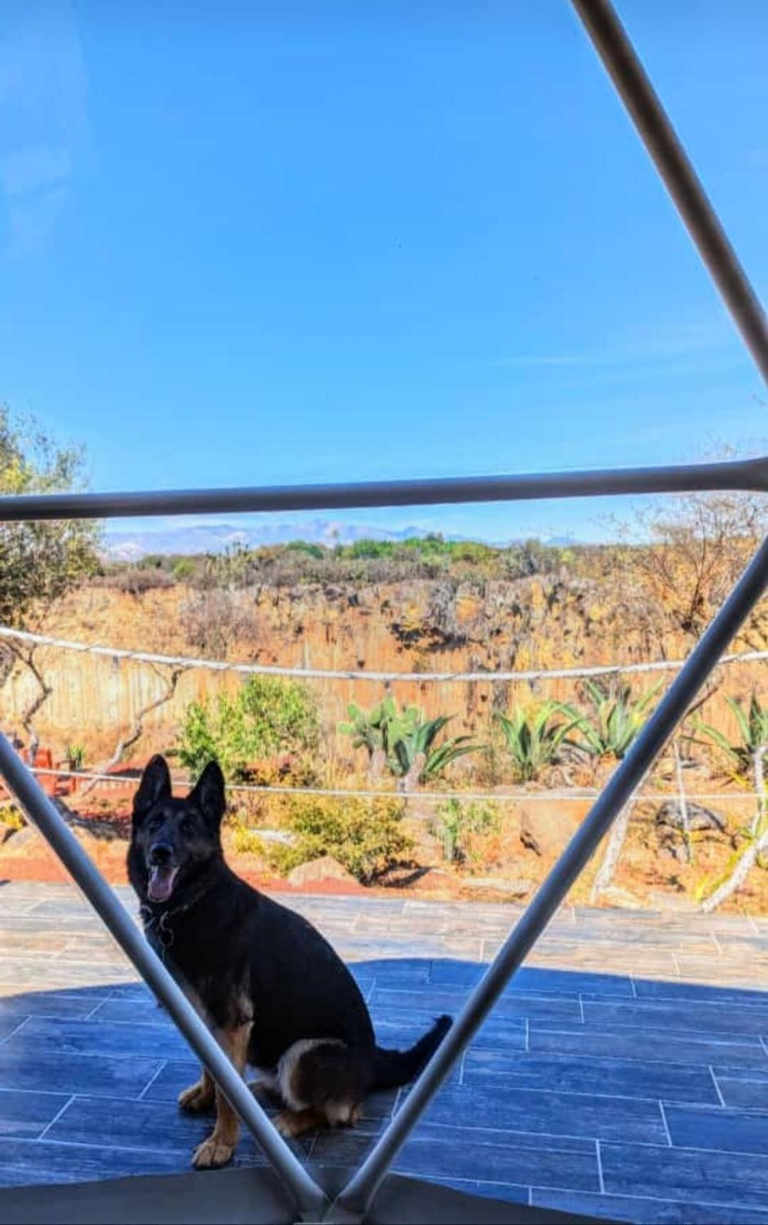 Hotel El Gato Glamping con vista a prismas basálticos Huasca de Ocampo Exterior foto